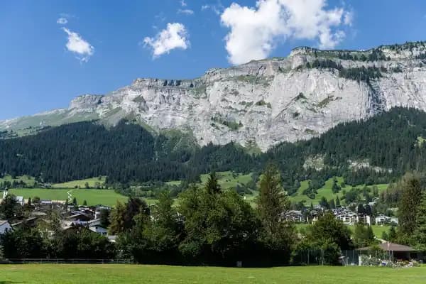 Aus der Schweiz für die Schweiz