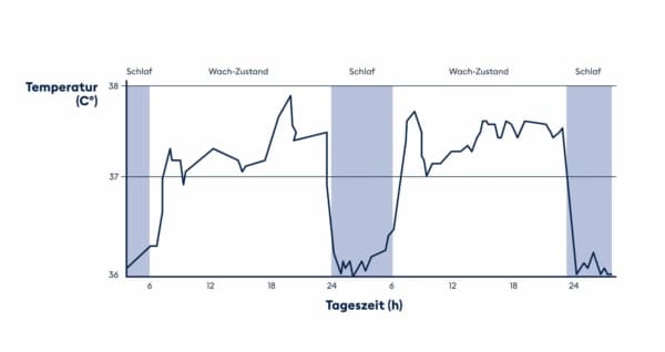 Besser schlafen: So schaffen Sie ein optimales Schlafklima